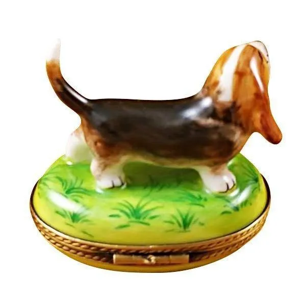 Bassett Hound Dog limoges box