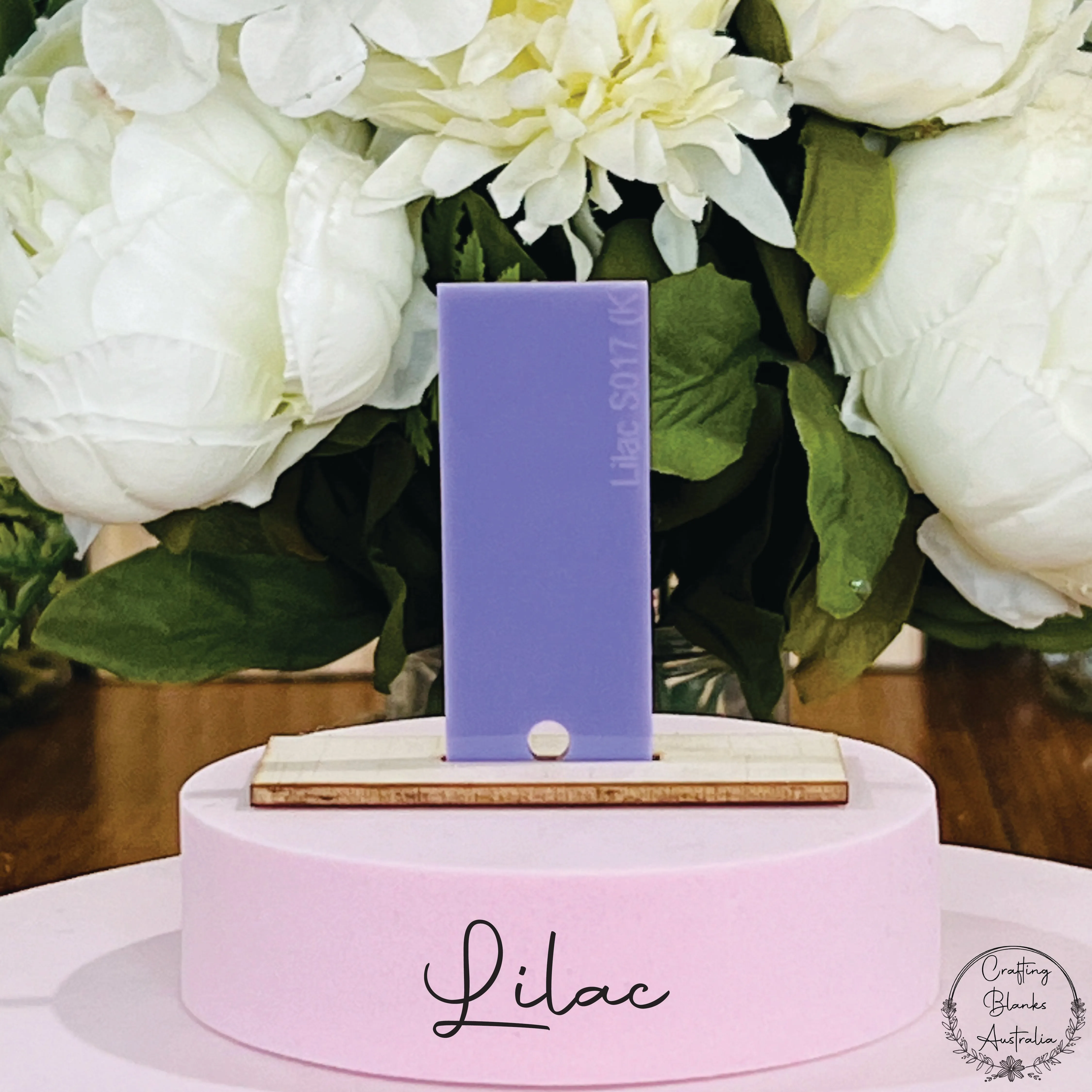 Birthday Cake • Gift Card Holder • 100mm