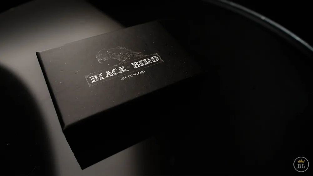 BlackBird by Jeff Copland