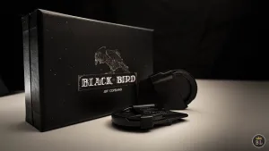 BlackBird by Jeff Copland