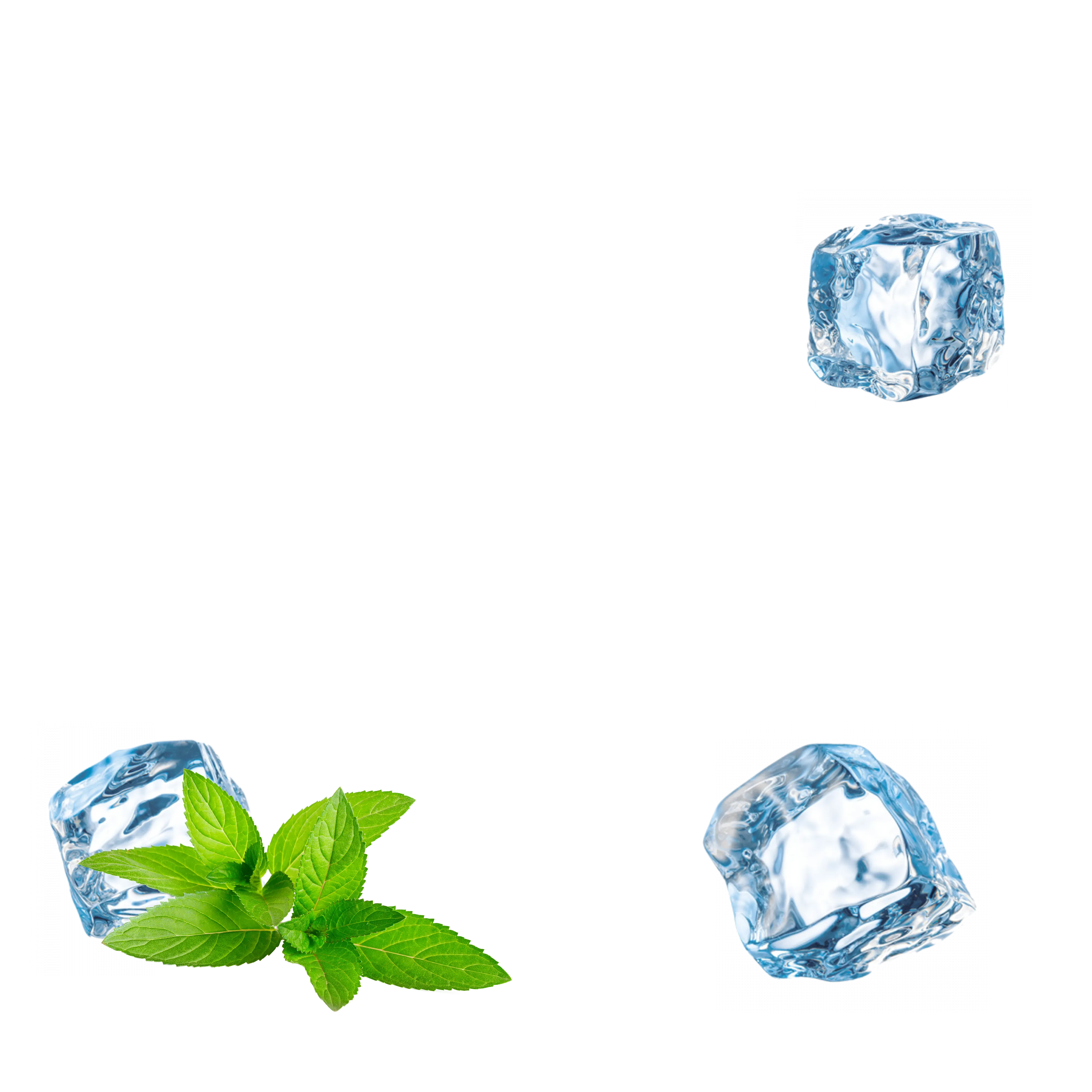 Blizzard Mint Energy Pouches (3 Pack / 60 Pouches)