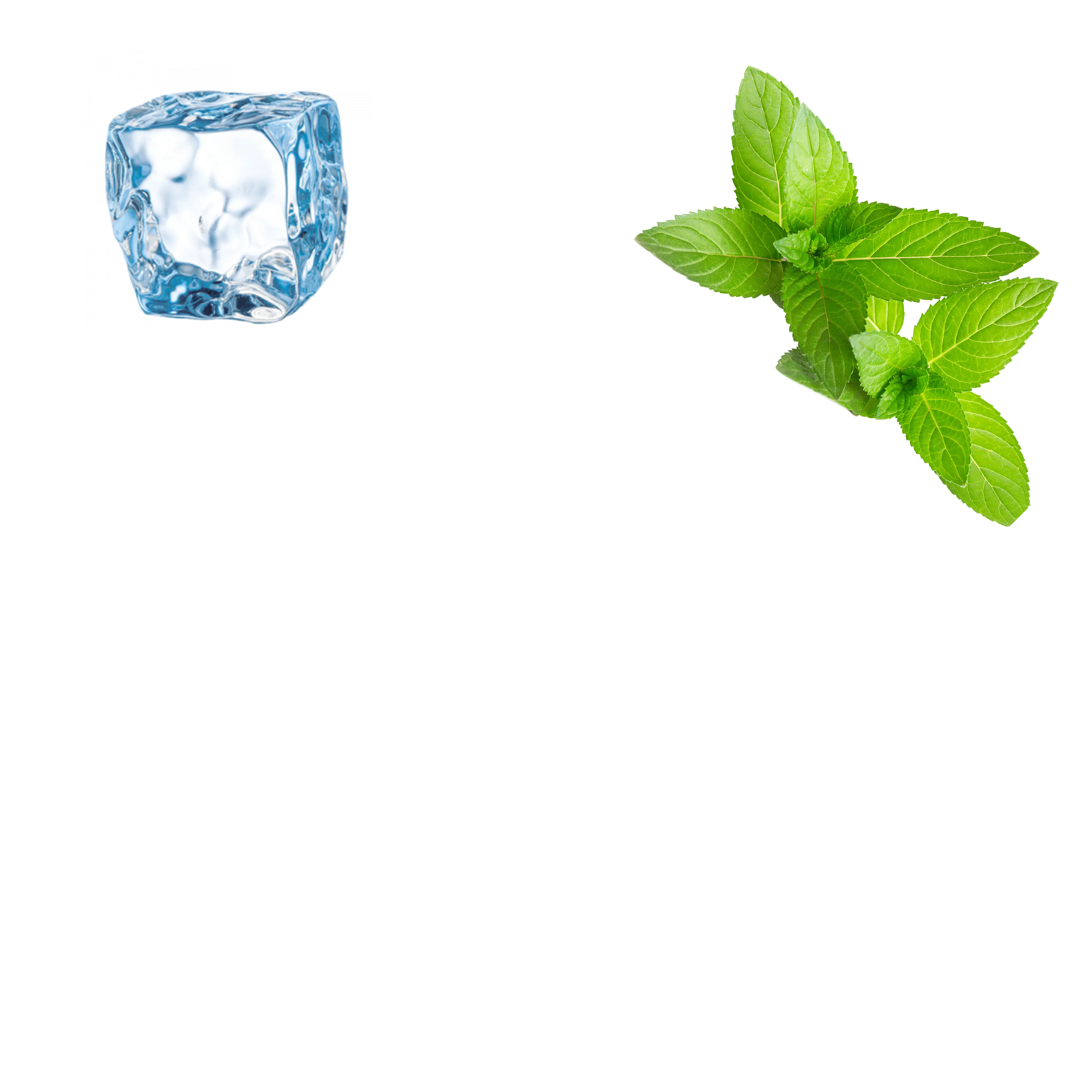 Blizzard Mint Energy Pouches (3 Pack / 60 Pouches)