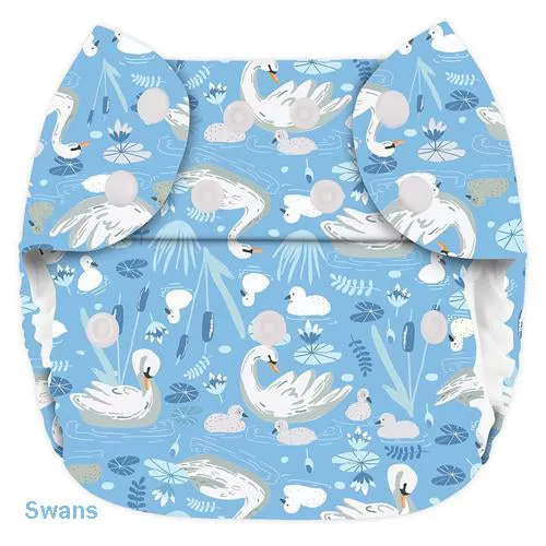 Blueberry Simplex All in One Nappy