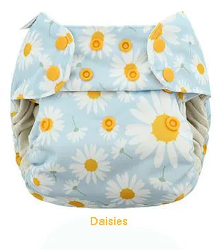Blueberry Simplex All in One Nappy