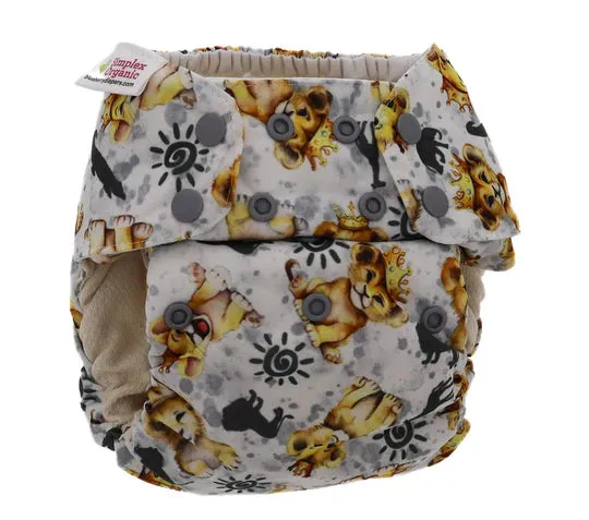 Blueberry Simplex All in One Nappy