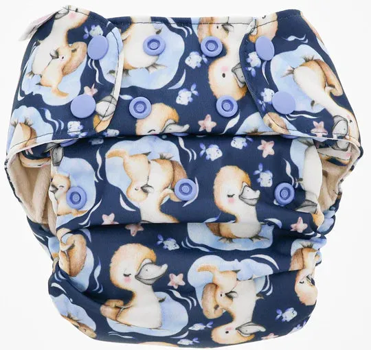 Blueberry Simplex All in One Nappy