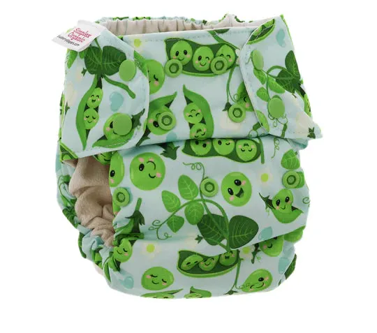 Blueberry Simplex All in One Nappy