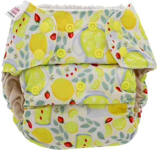 Blueberry Simplex All in One Nappy