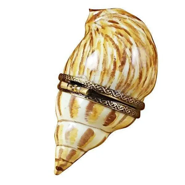 Brown Seashell limoges box