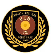 CHALLENGE COIN - NON-FATAL SHOOT TEAM /VIOLENT CRIMES BUREAU (VCB)