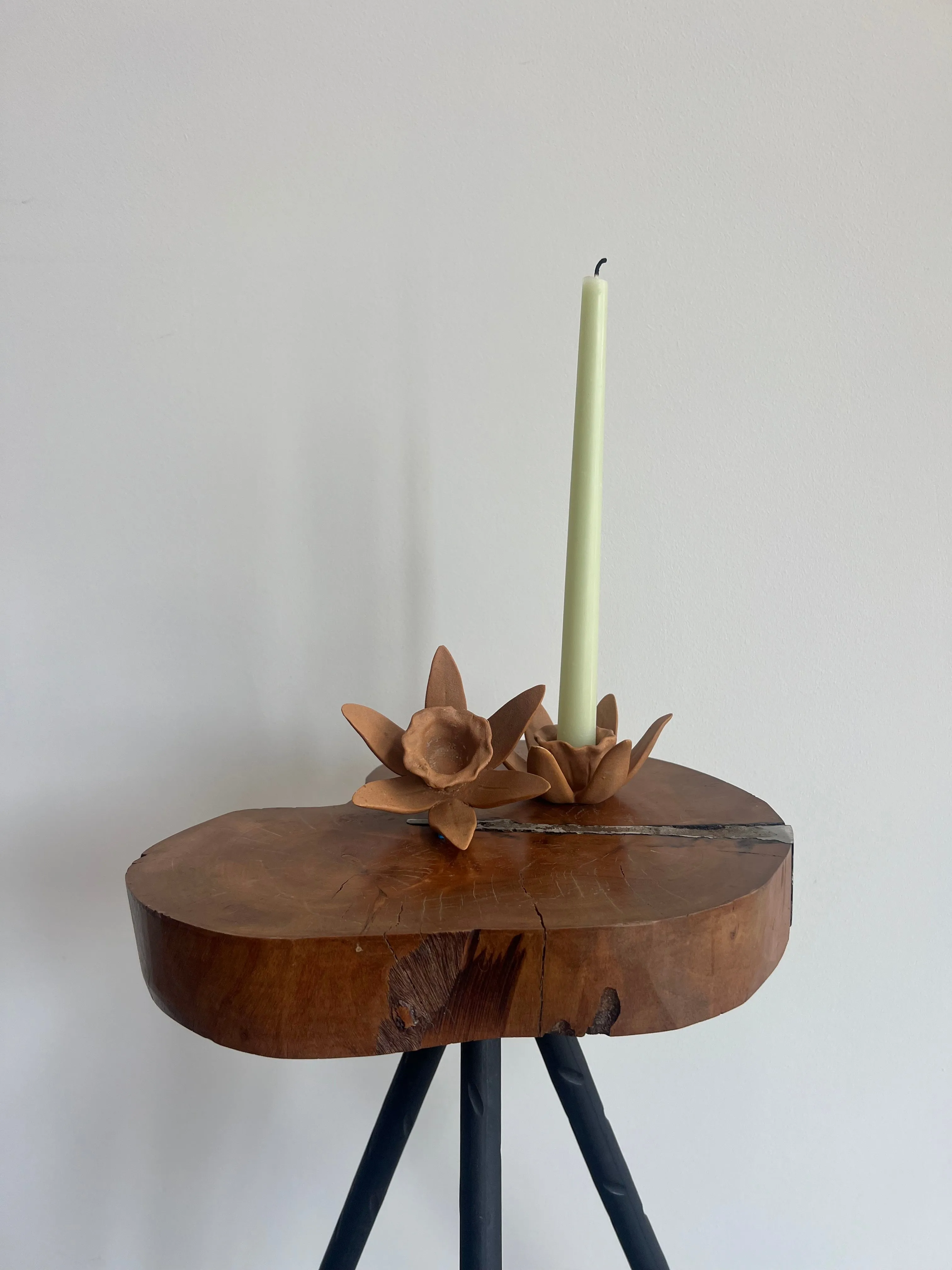 DAFFODIL CANDLE HOLDERS
