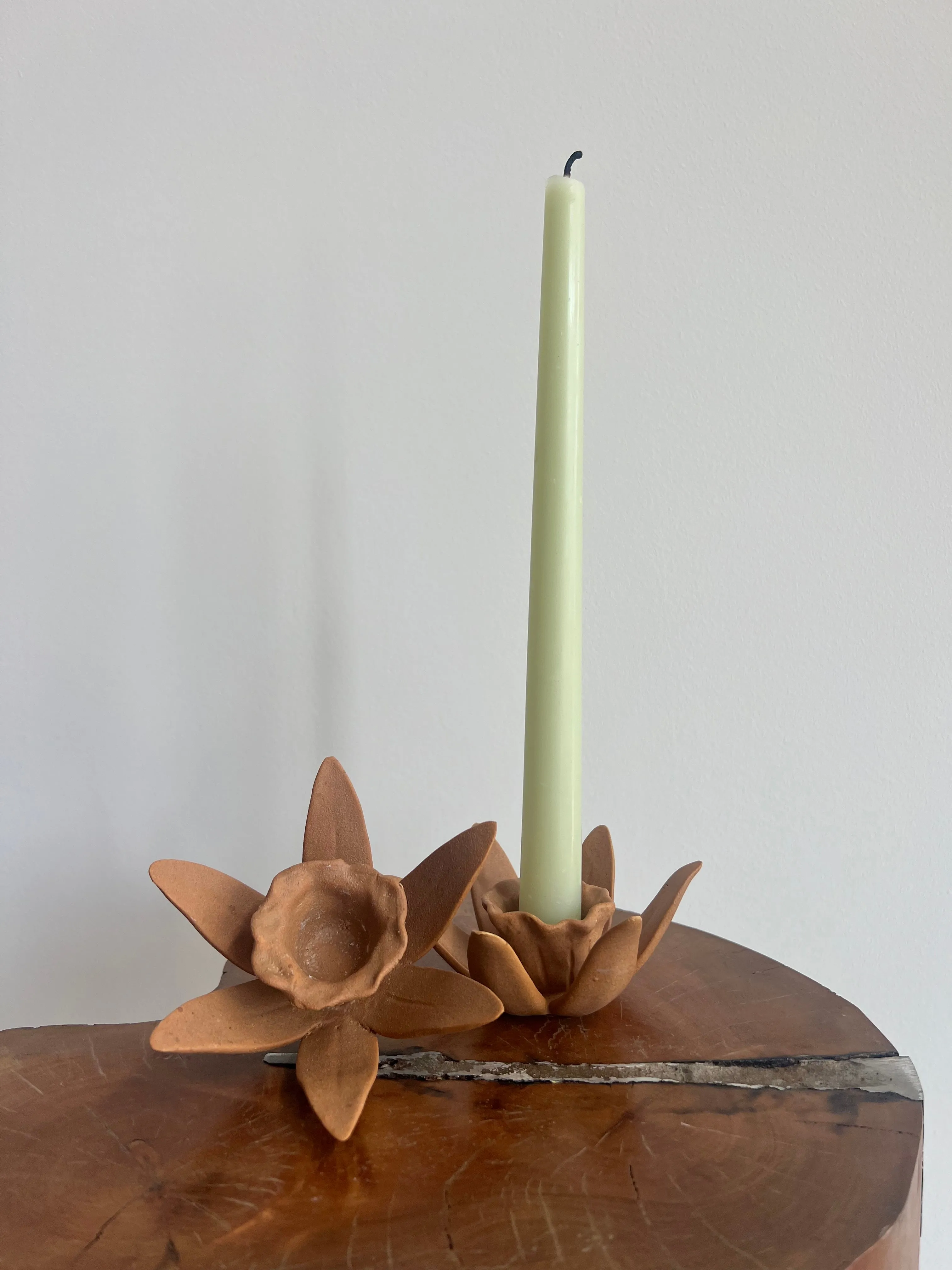 DAFFODIL CANDLE HOLDERS