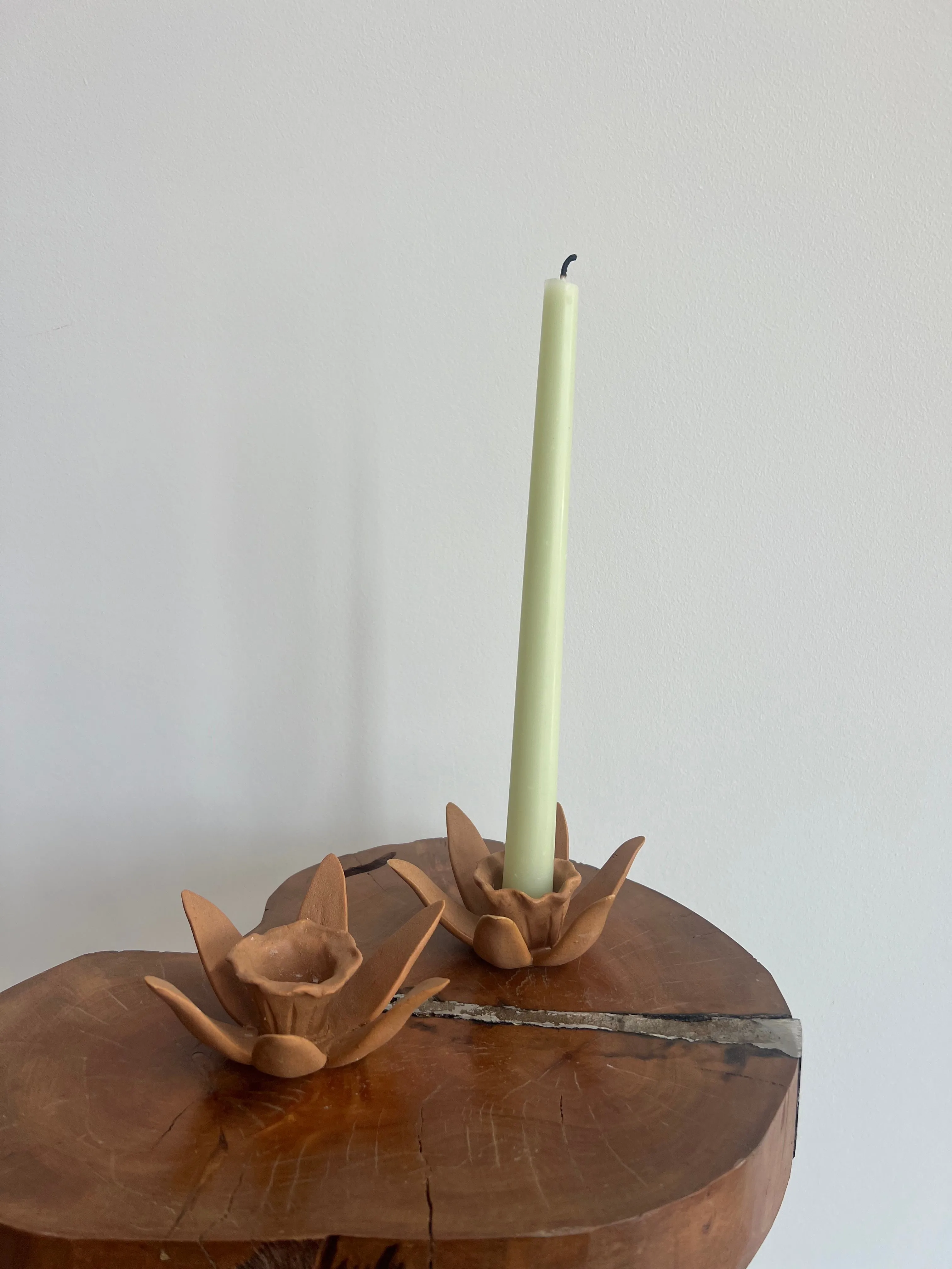 DAFFODIL CANDLE HOLDERS