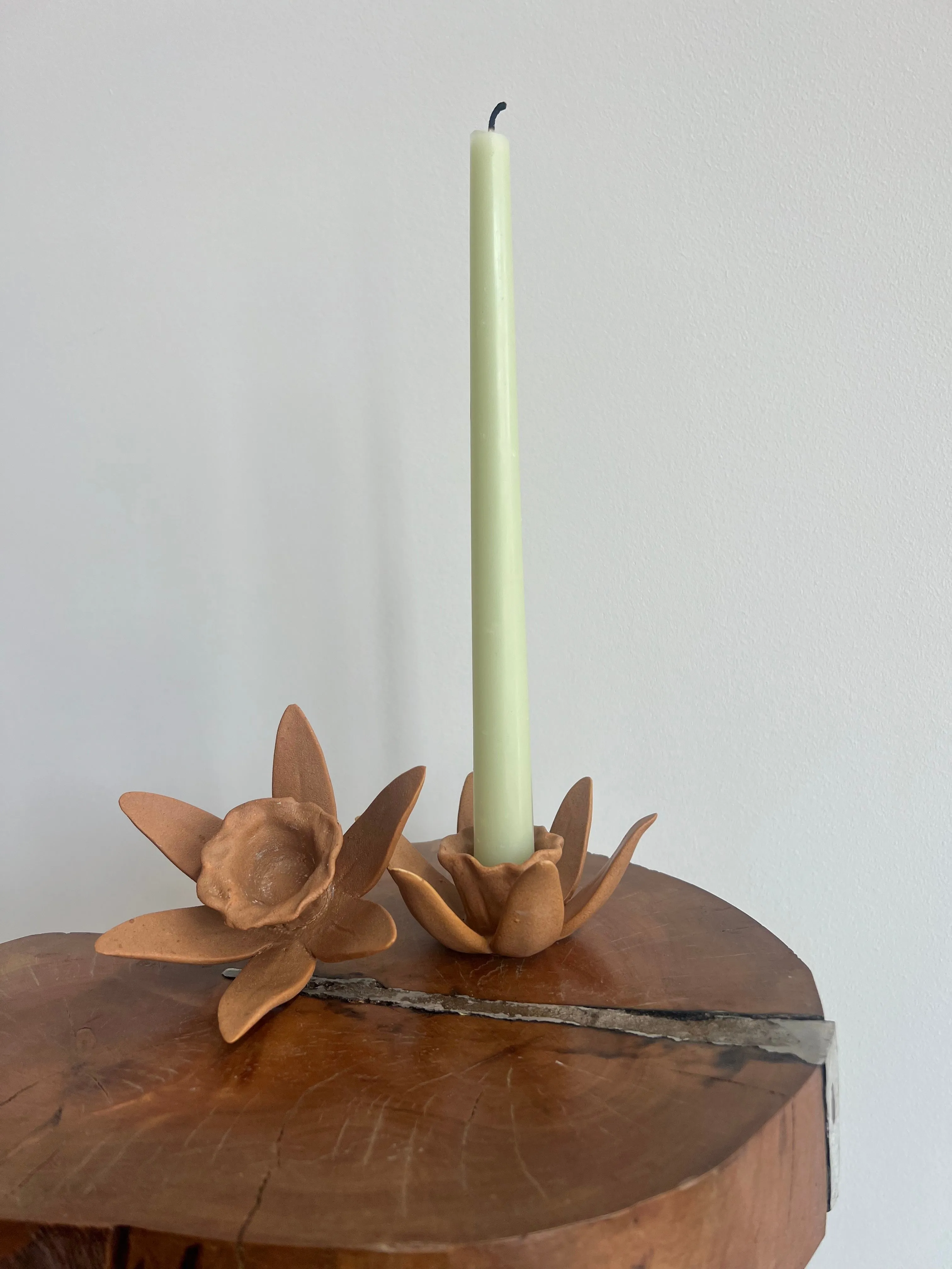 DAFFODIL CANDLE HOLDERS