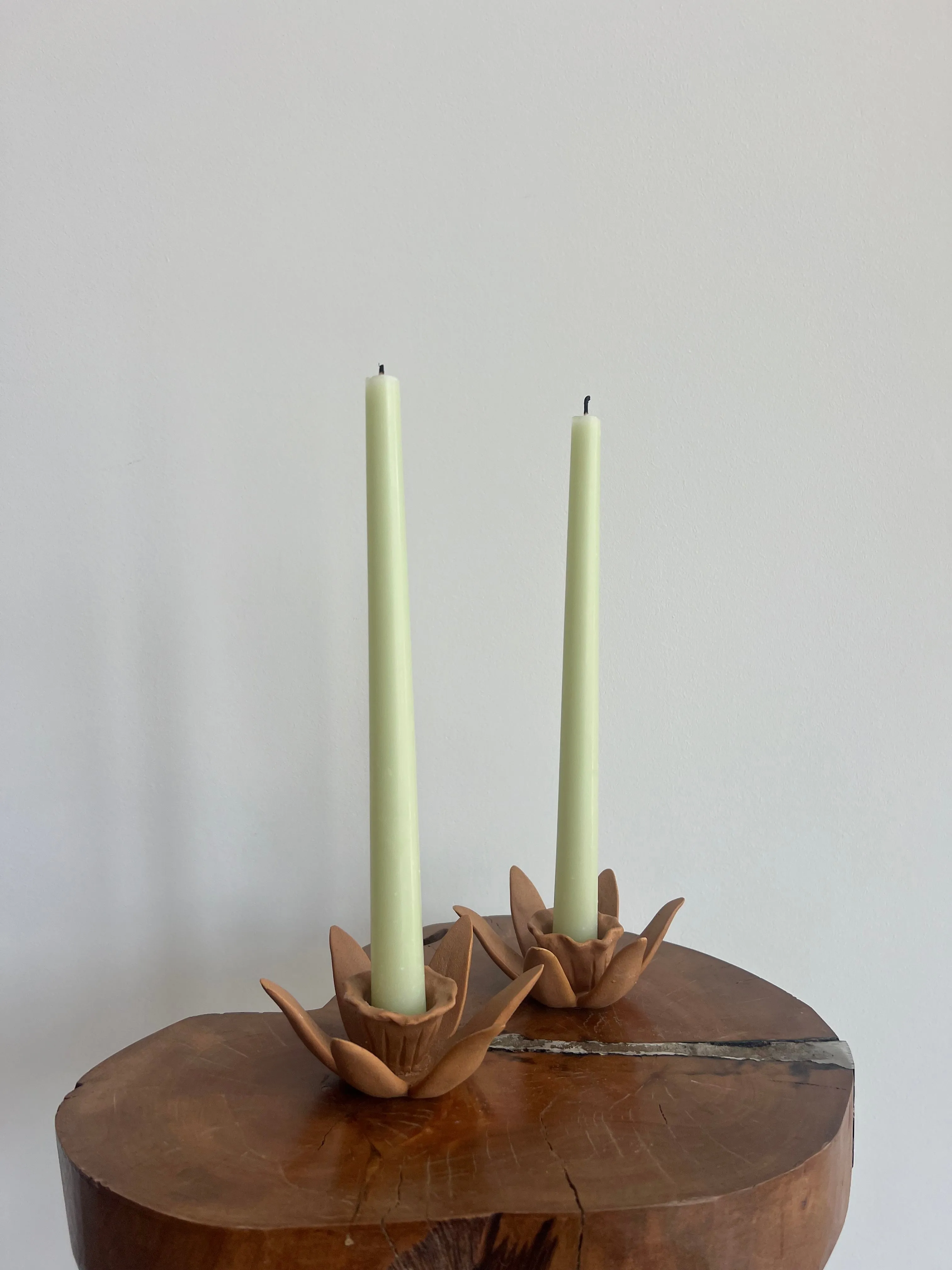 DAFFODIL CANDLE HOLDERS