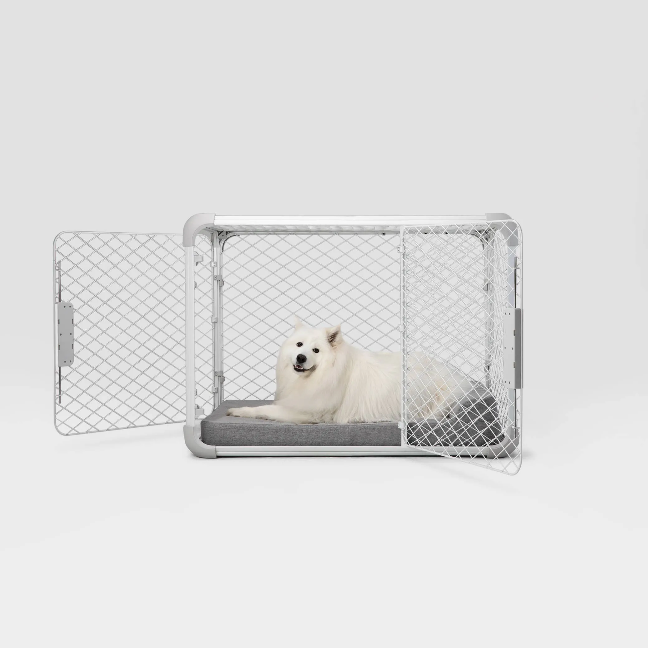 Diggs - Evolv Dog Crate