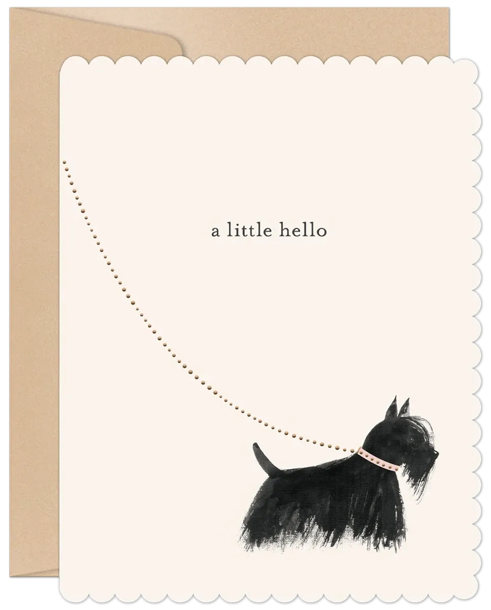 Friendship Card - A Little Hello