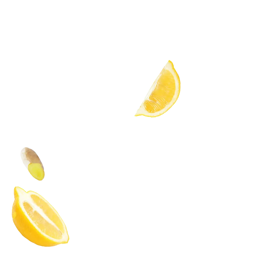 Ginger Lemon Energy Pouches (3 Pack / 60 Pouches)