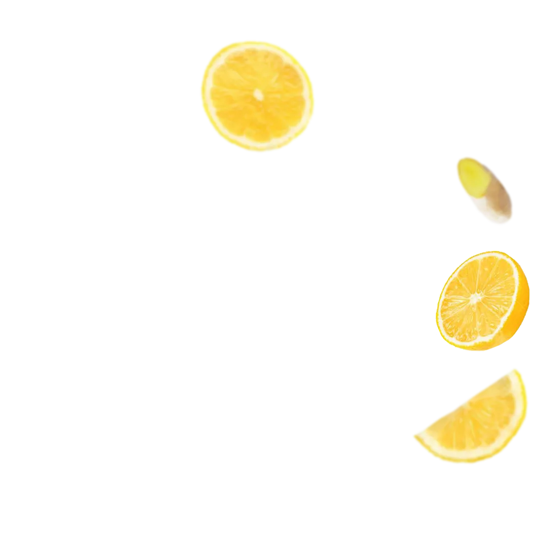 Ginger Lemon Energy Pouches (3 Pack / 60 Pouches)