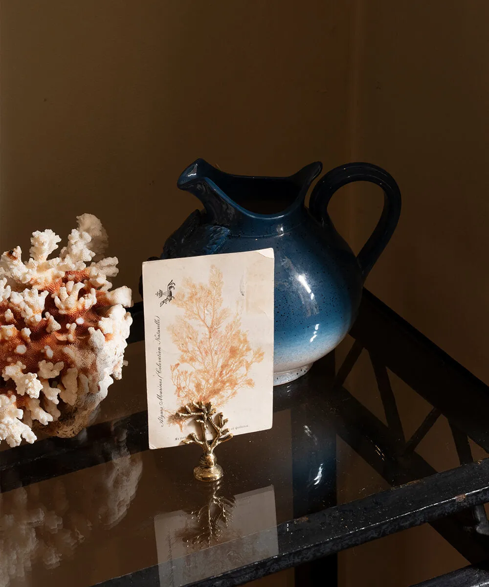 Marie Coral Card Holder