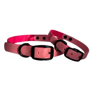 Moss Dog The Vibrant Collection Collar - Barbie