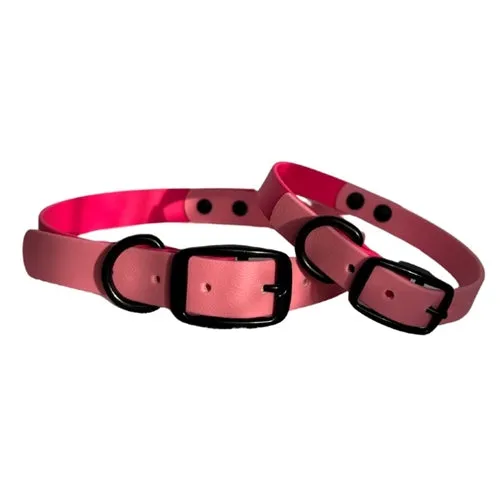 Moss Dog The Vibrant Collection Collar - Barbie