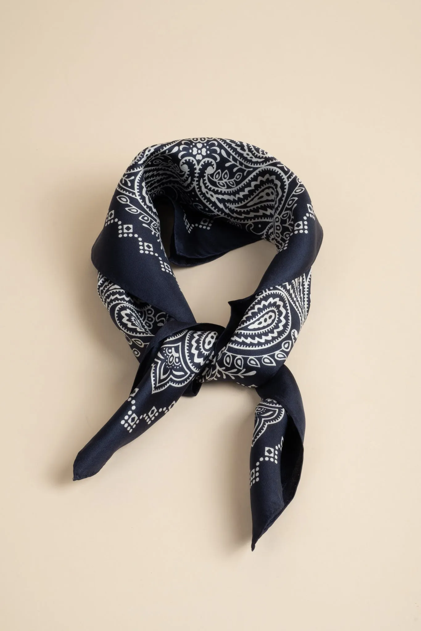 Paisley Silk Scarf - Navy