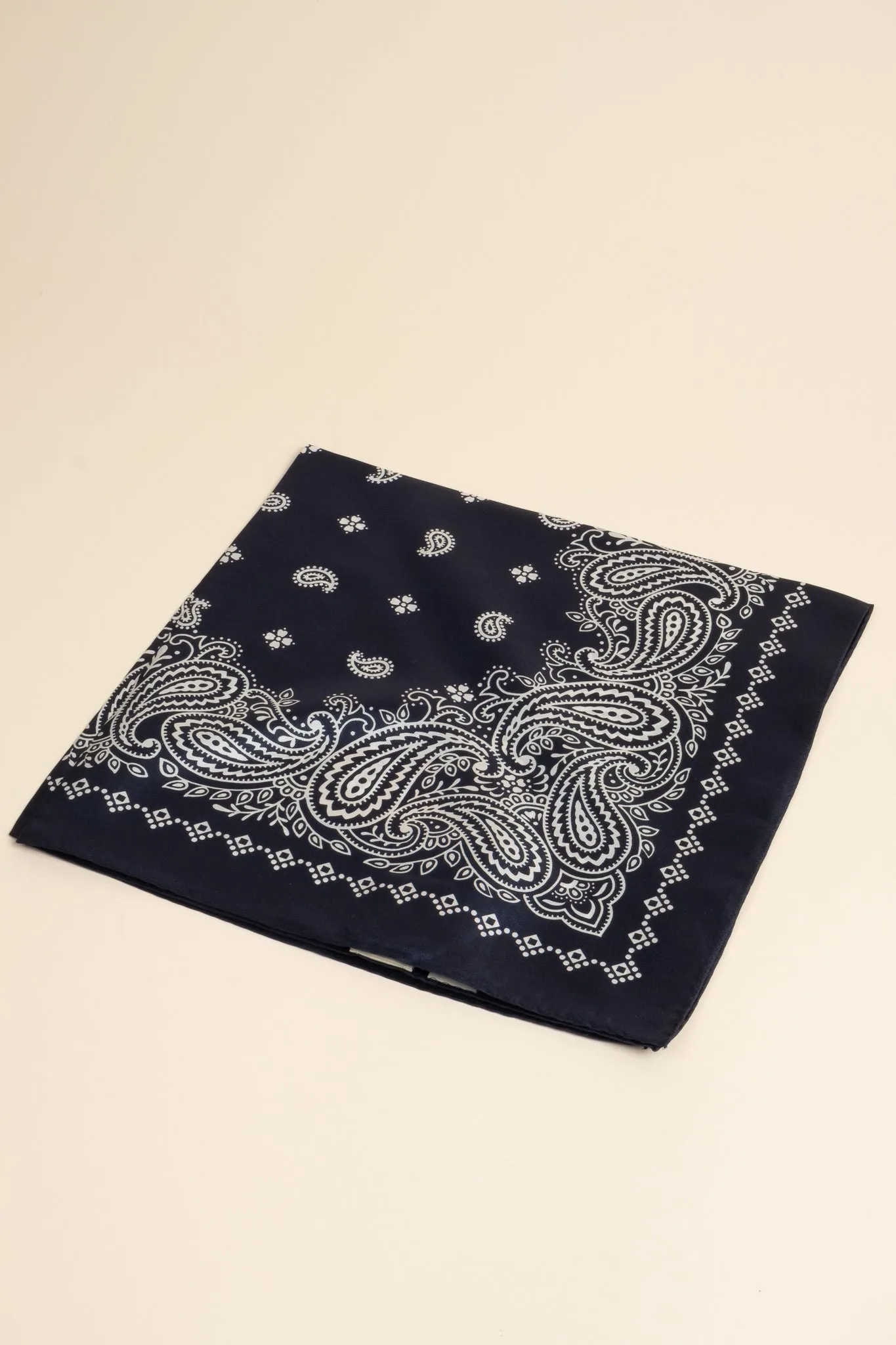 Paisley Silk Scarf - Navy