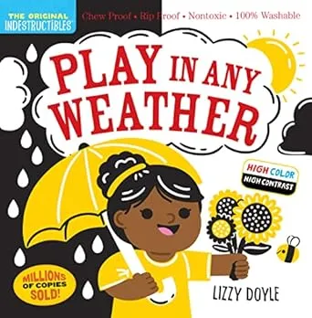 Play in Any Weather (High Color High Contrast)