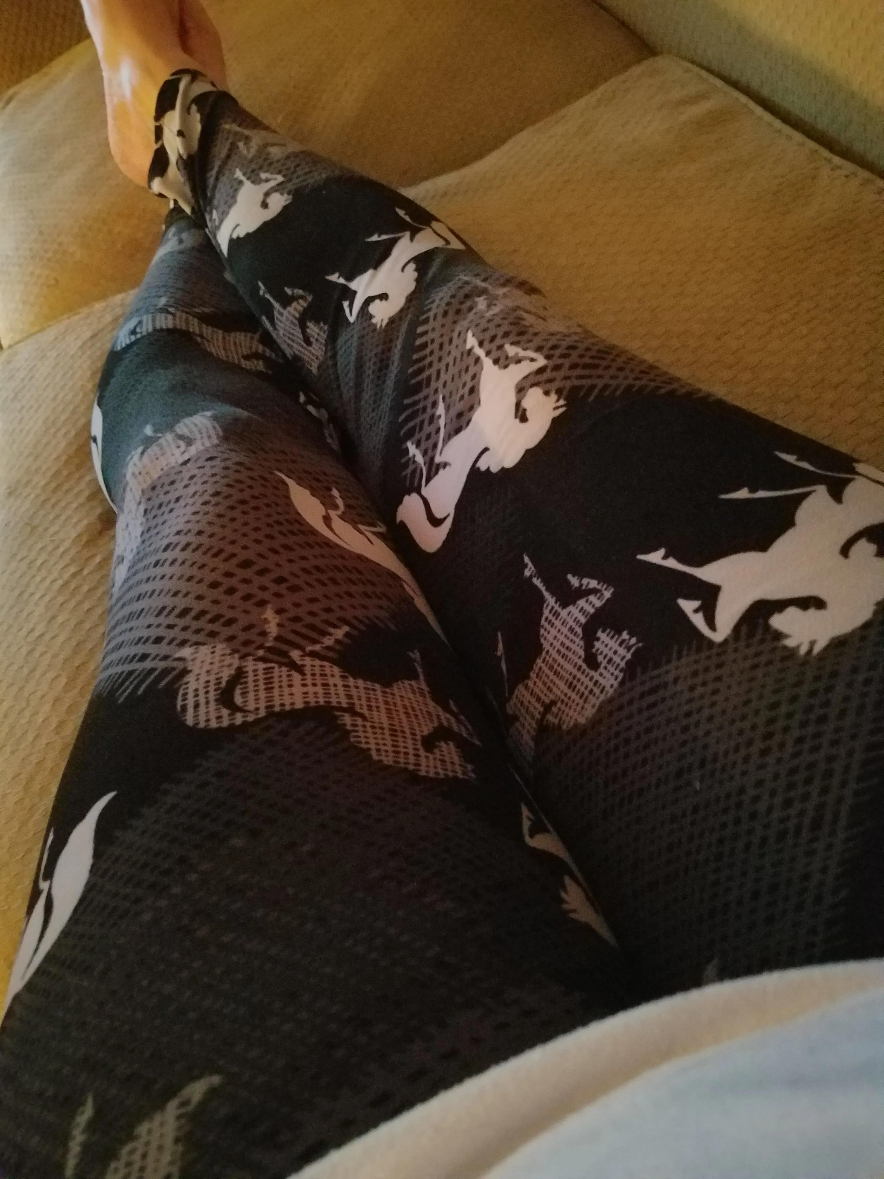 Prancing Stallion Leggings