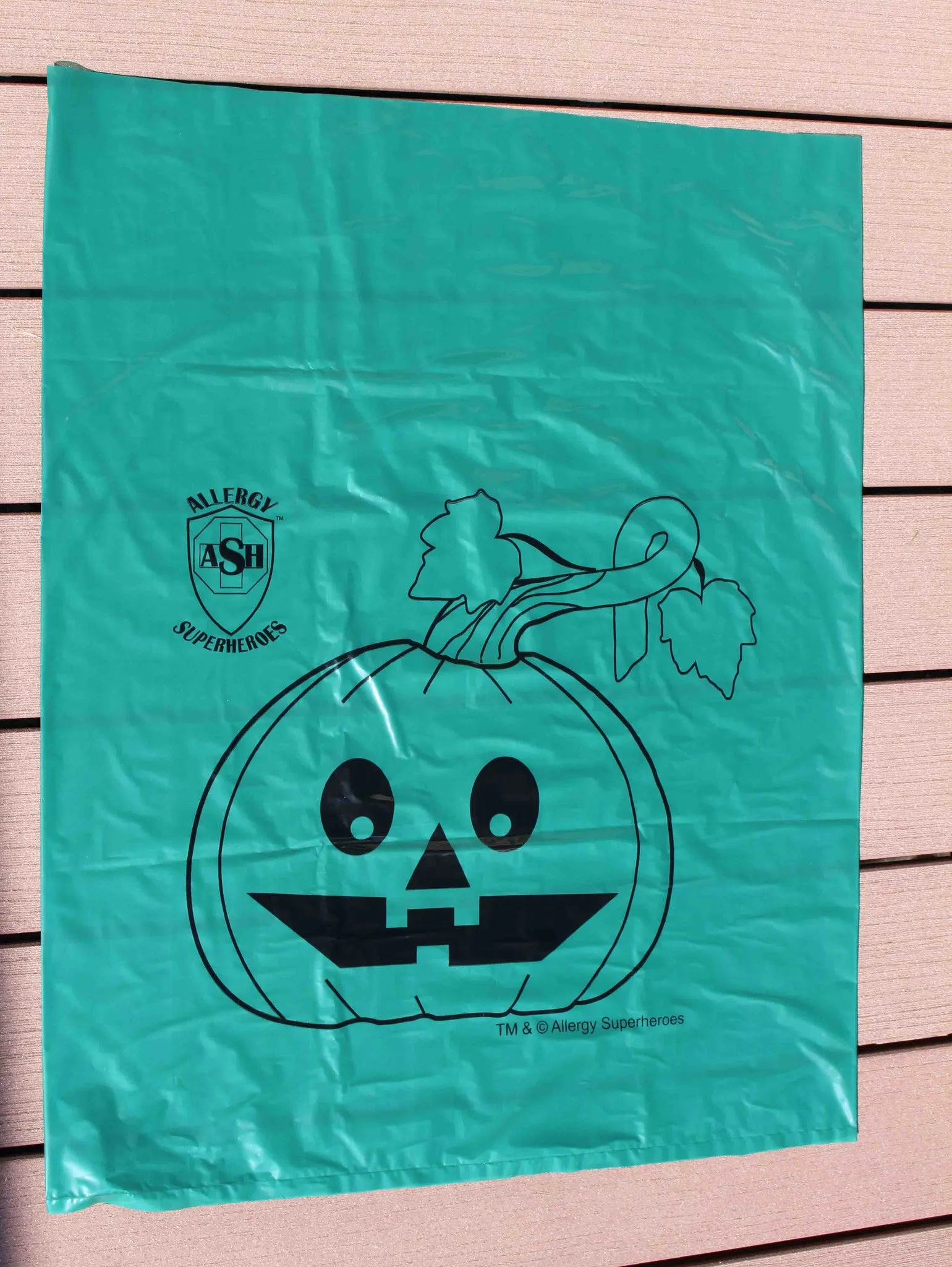 Teal Pumpkin Leaf Bags