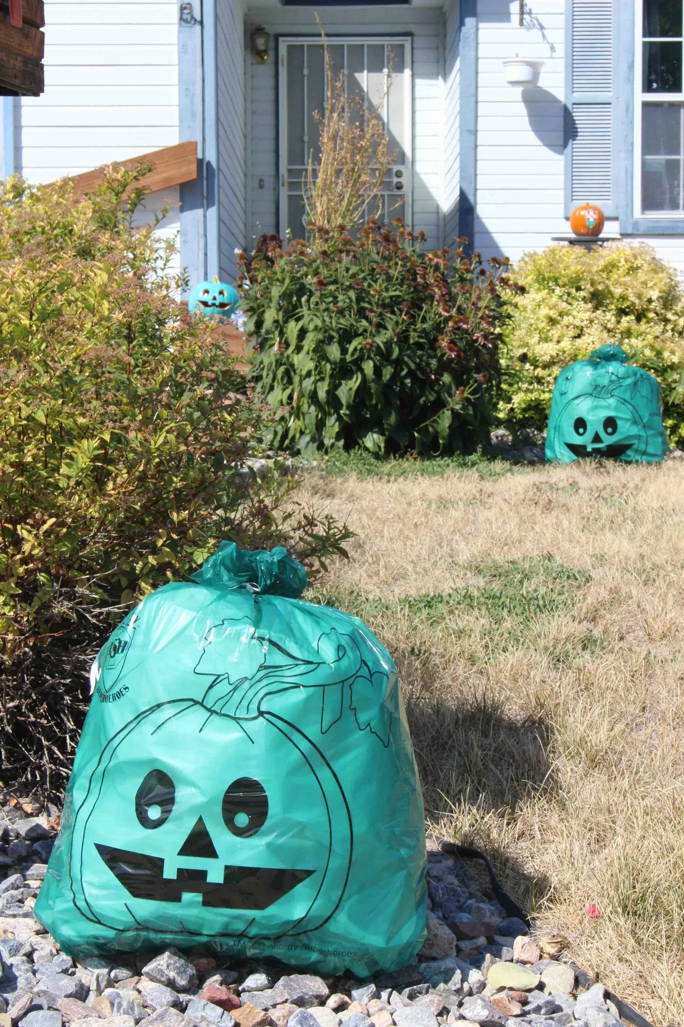 Teal Pumpkin Leaf Bags