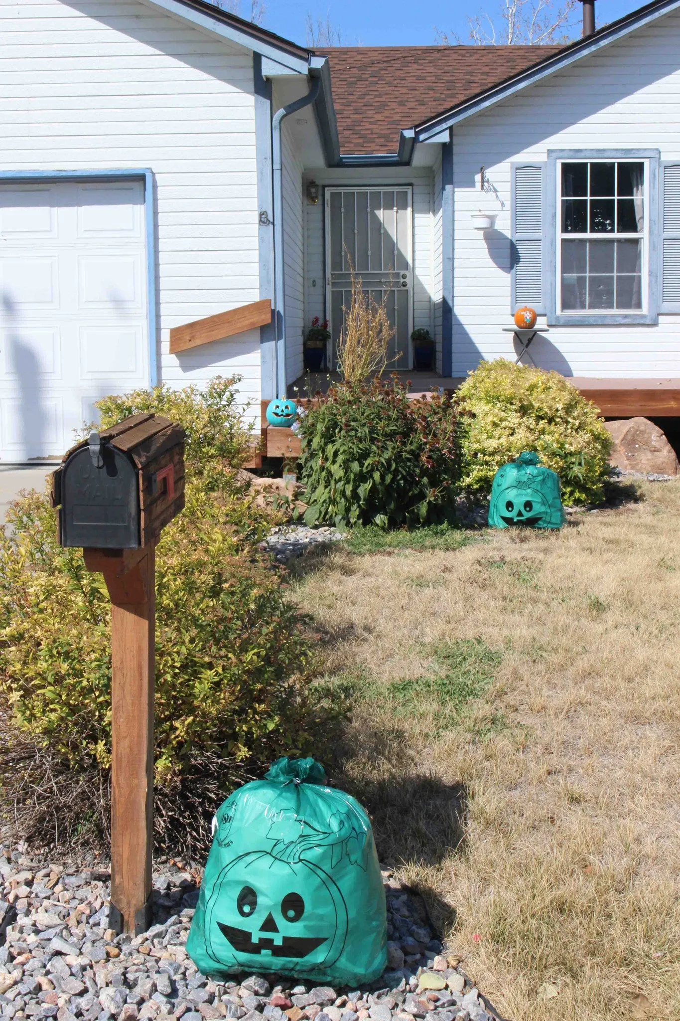 Teal Pumpkin Leaf Bags