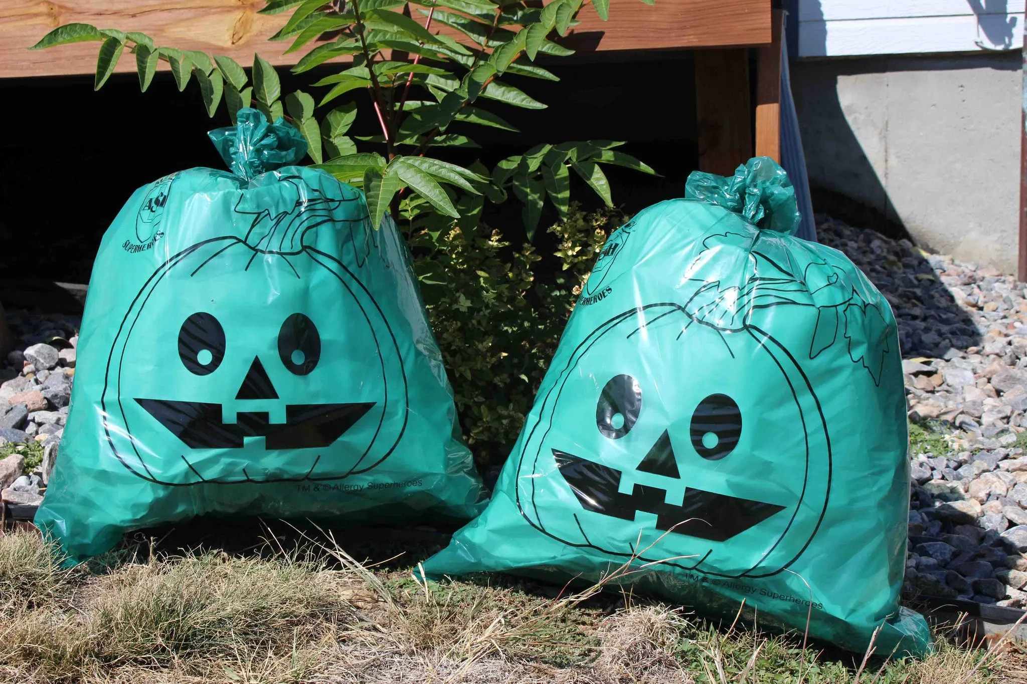 Teal Pumpkin Leaf Bags