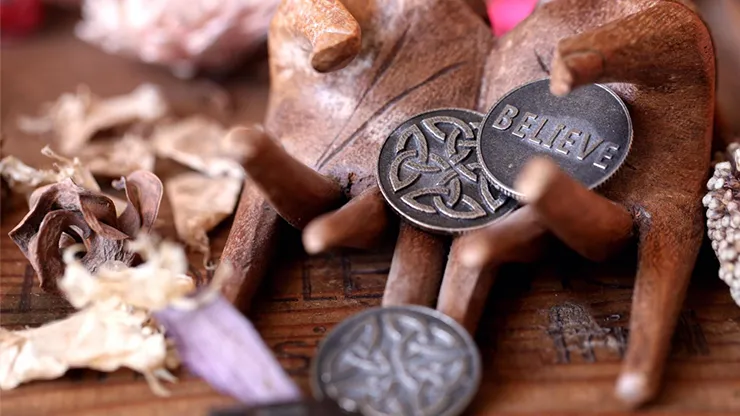 The Lucky Coin (Gimmicks and Online Instructions) by Luca Volpe and Paul McCaig