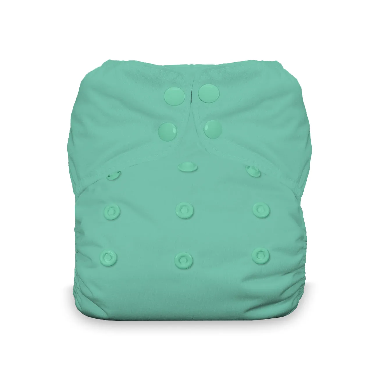 Thirsties Natural One Size All In One