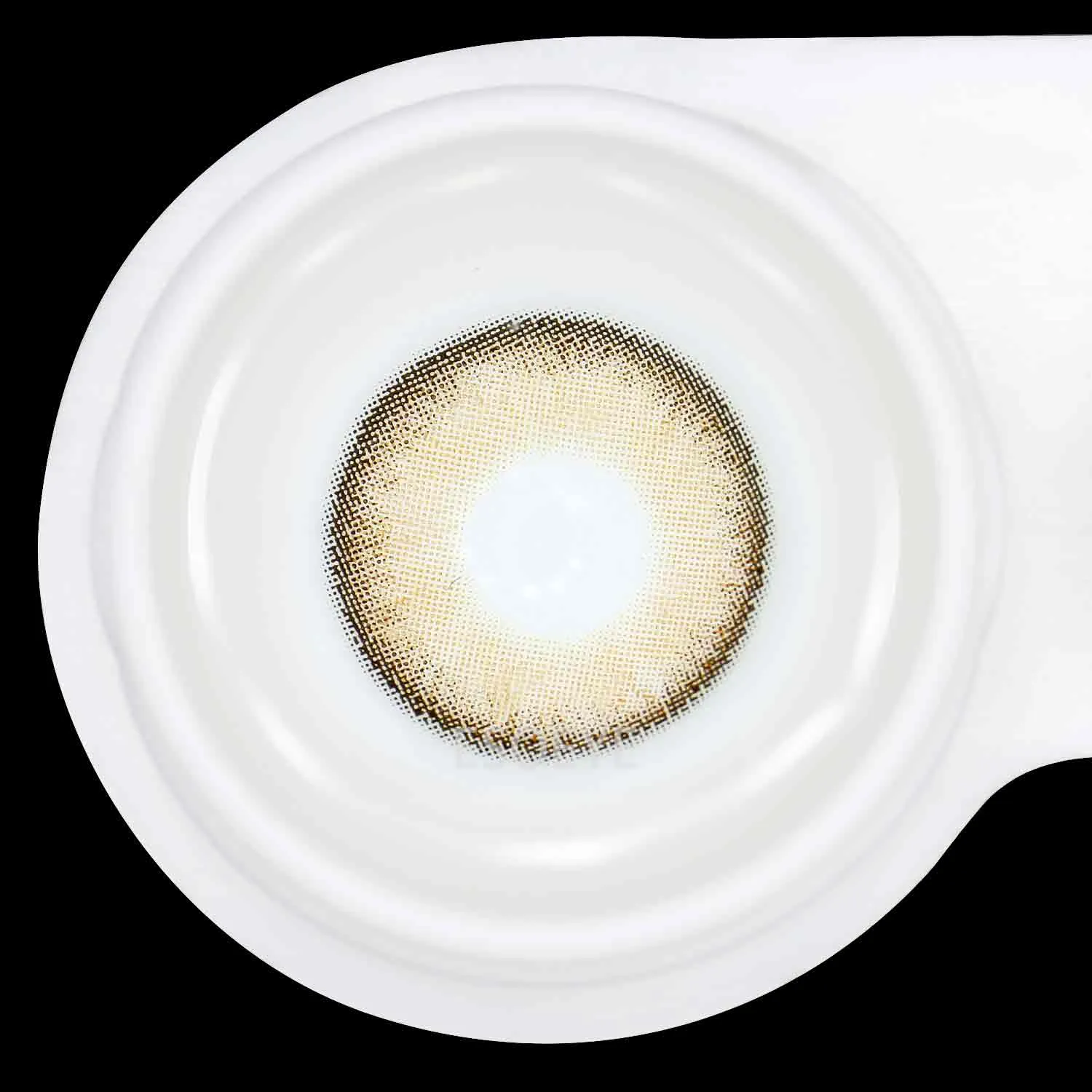 Velvet Brown Colored Contact Lenses Yearly